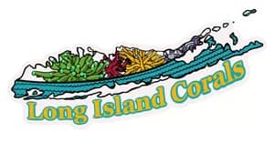 Long Island Corals